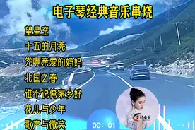 #电子琴经典音乐串烧 望星空 十五的月亮 党啊亲爱的妈妈……