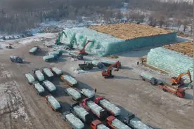 哈尔滨开始为明年存冰块，搬运现场热火朝天，露天存一年不会融化视频封面