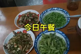 今日分享，青椒炒毛豆，豆角，青椒小河鱼，快餐小河鱼