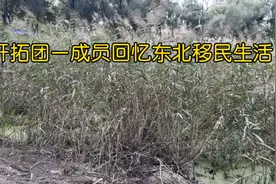 开拓团一成员回忆东北移民生活视频封面