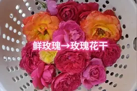 鲜玫瑰花⥤玫瑰花干🌹，做起来也很简单，痛经有血块喝了有效哦