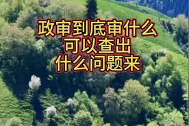 政审到底审什么？可以查出什么来？视频封面