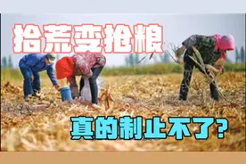 河南某地村民与农场主抢粮，警察制止无果，真的拿他们没办法？视频封面