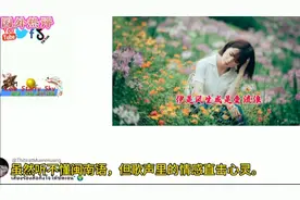 油管泰国网友热评：闽南语神曲爱情一阵风，沉迷音乐想学习闽南语视频封面