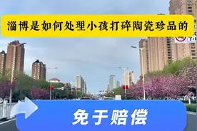 小游客打碎淄博陶瓷琉璃馆内的价值12万元花瓶，淄博是如何处理的视频封面