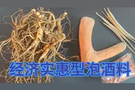 实惠型，半斤20年林下参一个小鹿茸370克，枸杞海龙泡15到20斤酒视频封面