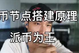 派币节点的搭建原理.以后别一顿操作猛如虎了.视频封面