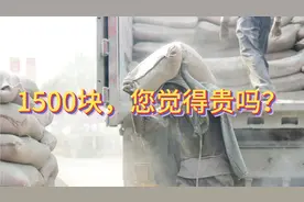 100袋水泥扛到五楼，农民工狮子大开口，这么干月薪不得五万？视频封面