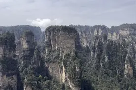 记录我的旅行-25年3月31日游张家界袁家界，天子山视频封面