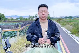 仅需一瓶水一个盆一辆电动车，一天收入一千多的小生意你见过吗？视频封面