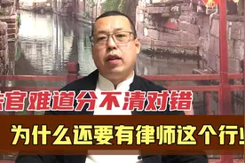 法官难道分不清对错吗，打官司为何还要请律师，这个职业有必要吗视频封面