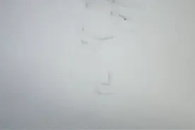 烦人的村民の303 简单画一下（画渣努力练习）