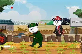 兔子只是暂时不想当第一，能有啥坏心思呢…视频封面