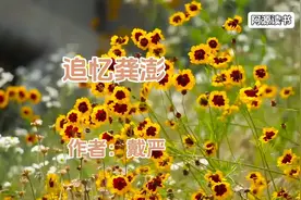 乔冠华第一任夫人龚澎去世，同事深切缅怀