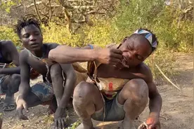 哈扎猎人狩猎猴子，猴肠塞进嘴中爆浆，猴子肉太美味了~视频封面