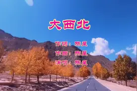 陈星《大西北》经典老歌好听分享！视频封面
