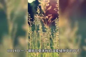 8月14日愿你及家人幸福美满！！！