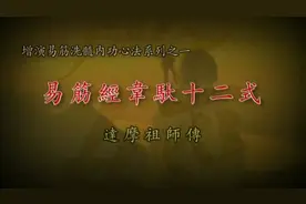少林易筋經韋馱十二式【養生功法】视频封面