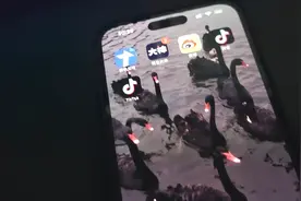 TikTok黑屏，无网络，无法登录怎么办？看完这个视频，告诉你视频封面