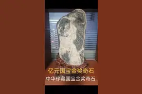 中华（伟人）国宝奇石毛泽东视频封面