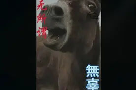 无所谓（搞笑版）演唱 不详视频封面