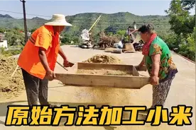 原来谷子是这样加工出来的？既要过筛子还要过扇车，长见识了！视频封面