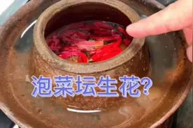 泡菜坛生花，放白酒不管用，四川人教你方法，坛水干净一点不生花