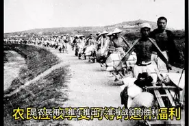 农民应该享受同等的退休福利视频封面