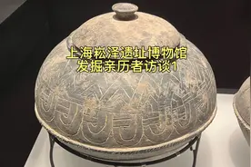上海崧泽遗址博物馆发掘亲历者访谈，非常详细#上海#遗址#博物馆视频封面