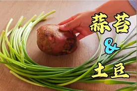 5元一斤的本地蒜苔，加一个土豆，脆爽又下饭