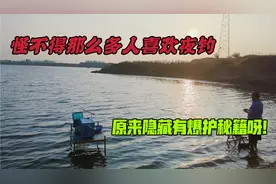 为什么那么多人喜欢夜钓！原来隐藏四大优点，怪不得经常鱼获满满