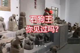 你见过石狗吗，这个地方还流传着石狗文化，雷州，顺路游历长知识视频封面