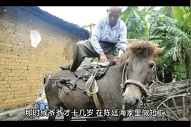 民间第一风水先生视频封面