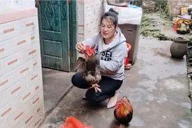 过年了大家都会杀鸡招待客人，不少朋友都不会杀，我来教大家吧