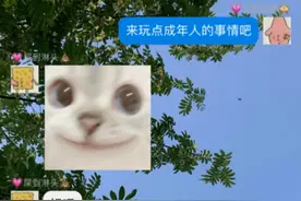 当我提出和男朋友在深夜玩点成年人的游戏🙈
