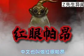 泰国拍婴佛牌你了解吗？视频封面