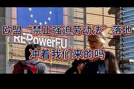 欧盟为何要通过《禁止强迫劳动法》？如何应对视频封面