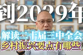 未来5年乡村振兴的机会在哪里？看这一篇就够了视频封面