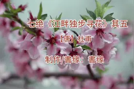杜甫七绝《江畔独步寻花》其五，朗读与赏析｜可爱深红爱浅红？视频封面