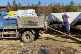 比养猪风险低，比养鸡鸭鹅赚钱的行业，有空地都能做，月月有收入视频封面