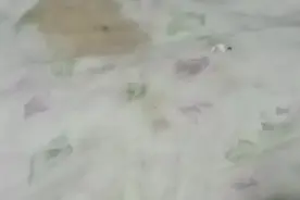立了视频封面