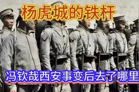 杨虎城的铁杆冯钦哉西安事变后去了哪里？视频封面