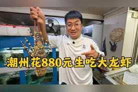广东潮州吃“潮汕毒药”，大龙虾800块一只生着吃，极致鲜美视频封面