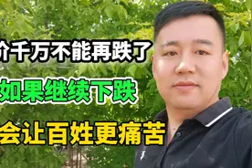房价千万不能再跌了，如果继续下跌，只会让百姓更痛苦。视频封面