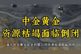 中金黄金矿业有限公司，破产与员工权益的保障视频封面