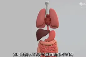 人体各个器官价值比较：你知道你身上的各个器官能值多少钱吗视频封面