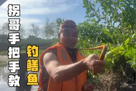 在鱼田石壁处发现鳝鱼，拐哥教大家钓鳝鱼怎么引出洞，怎么放钩视频封面