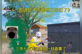 《一图进阶我居然又回归了》