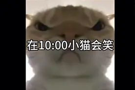 小猫在10:00会笑