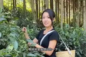 跨越2000公里，只为父母曾经定下的娃娃亲，结局太让人意外了视频封面